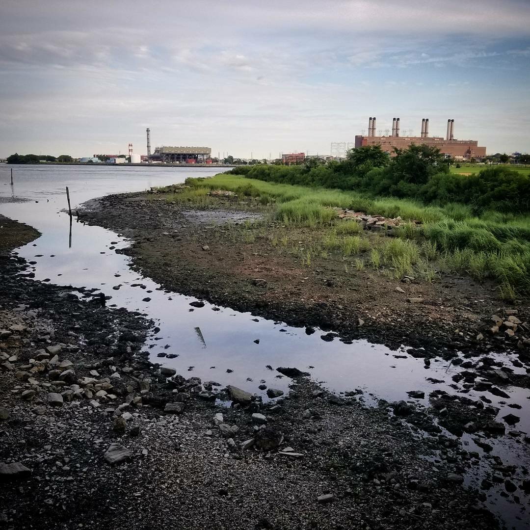 Not Bronx Islands But Randall's and Wards need to be annexed already